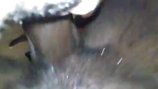 راچیل صوفے پر لیٹ گئی اور خود پر انگلی اٹھانا شروع کر دی۔ سیکسی لڑکی ویڈیو